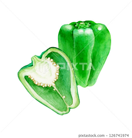 Bell pepper vegetable cross section watercolor illustration 126741974