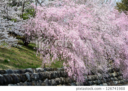 Takanezawa Genki Up Village Roadside Station #128 126741988