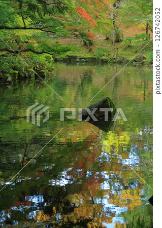 Landscape with autumn leaves Landscape with autumn leaves 126742052