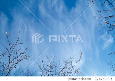 Autumn blue sky and white clouds 126742203