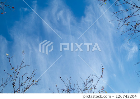 秋天的藍天白雲 秋天的藍天白雲 126742204