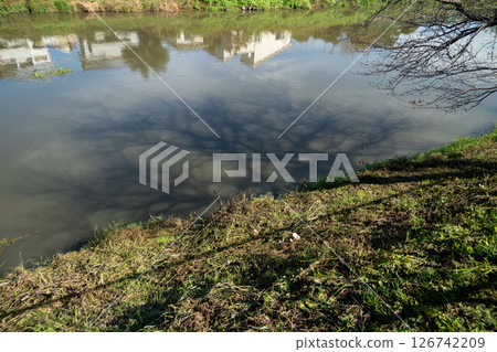 一棵樹的影子落在河上 126742209