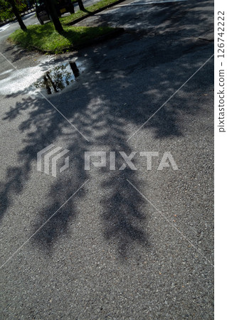 路上的樹影 126742222