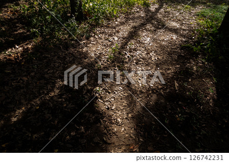 陰影籠罩的山間小路 陰影籠罩的山間小路 126742231