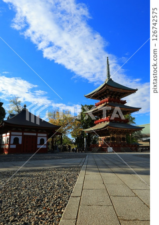 楓葉離開了紅葉 126742575