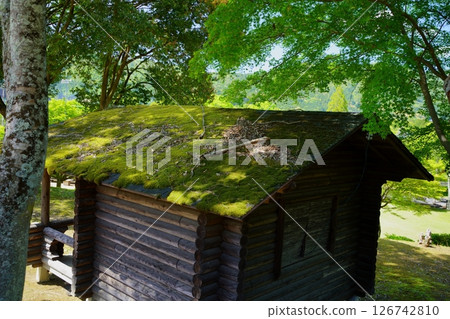 京都和津鹿莊長滿青苔的小屋屋頂 1 126742810