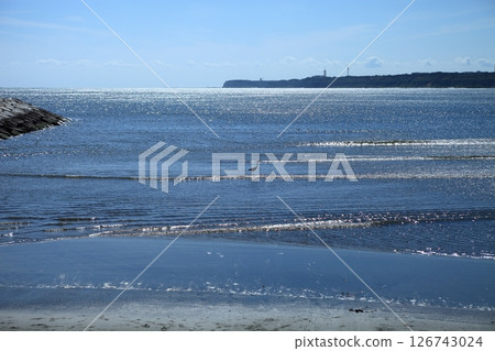 海灘上的稀客:蒼鷺 海灘上的稀客:蒼鷺 126743024