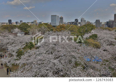 March 29 2025 Cityscape View With Cherry Blossoms and Stone Path in Scenic Park March 29 2025 Cityscape View With Cherry Blossoms and Stone Path in Scenic Park 126743083
