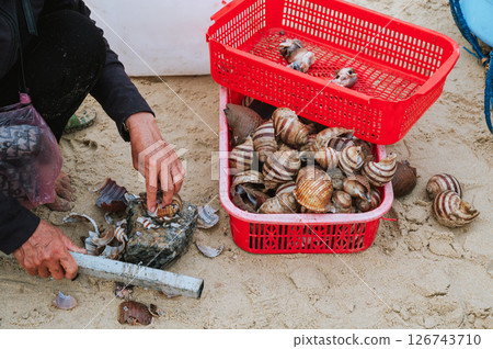Vietnamese woman cracks seashells shellfish at a seafood market in Vietnam in Asia. Catch of sea edible shells and clams 126743710