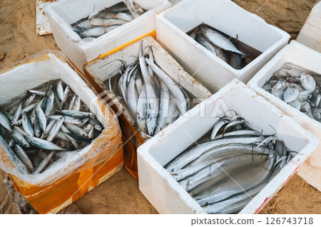 catch of fresh fish in containers at seafood market in Vietnam in Asia 126743718