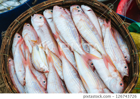 catch of fresh sea fish Threadfin Bream in basket at the seafood market 126743726