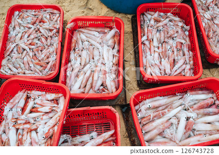 catch of fresh squid in containers at Vietnamese seafood market in Vietnam catch of fresh squid in containers at Vietnamese seafood market in Vietnam 126743728