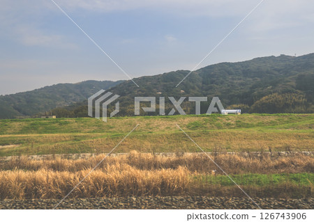 March 28 2025 Lush Green Grass Field with Power Lines, Japan March 28 2025 Lush Green Grass Field with Power Lines, Japan 126743906