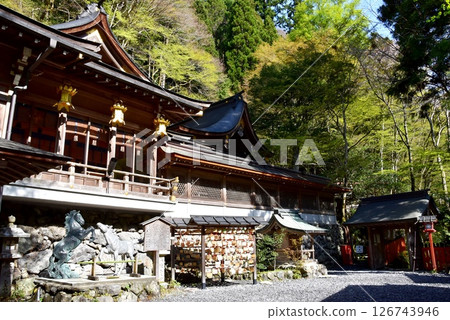 京都市:貴船神社境內及新綠 京都市:貴船神社境內及新綠 126743946