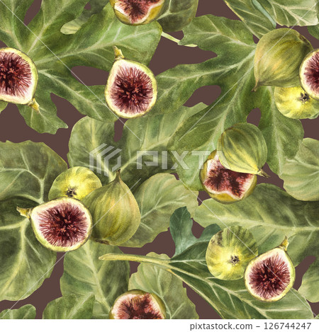 Figs fruit watercolor seamless pattern. Sliced and whole green and purple fig fruit with leaves. Food, plant clipart for fabric, wallpaper, packaging Hand drawn illustration on Isolated dark 126744247