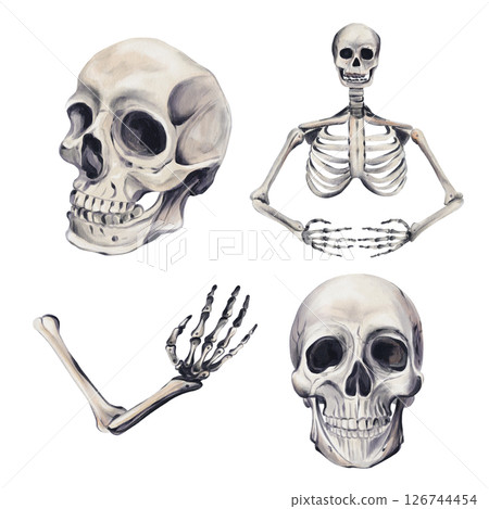 Set of human skeletons and their parts. Skull and skeletal hand. Human body floor. Decor for the holiday, Halloween. Vintage style. Watercolor illustration. Hand drawing. High quality illustration 126744454