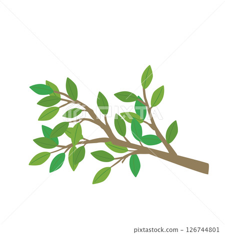 Vector illustration of a cute tree branch 126744801