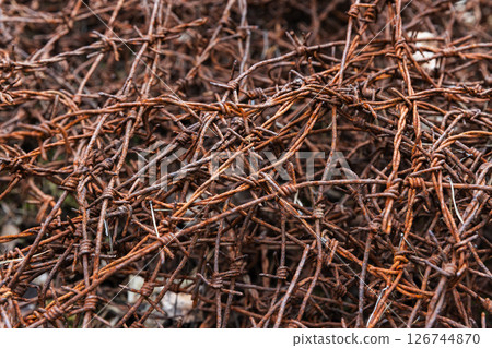 A high-resolution image of rusty, weathered barbed wire 126744870