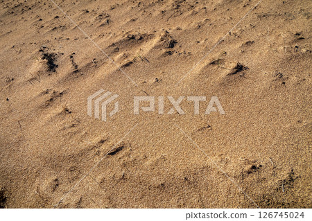 A large amount of rice husks 126745024