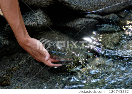西丹澤諸久保澤的溪流釣魚 126745282