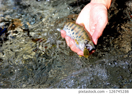 諸久保澤的大瀑布和西丹澤的白皮山女鱒魚 126745286