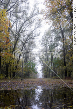 Golden Autumn in the city park. Yellow leaves on the park's avenue. Golden Autumn in the city park. Yellow leaves on the park's avenue. 126745536