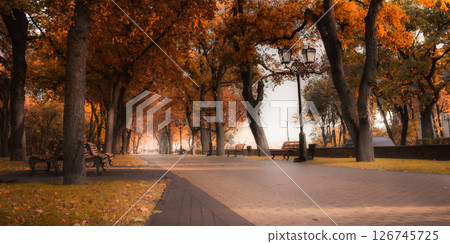 city autumn landscape 126745725