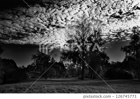 black and white landscape 126745771