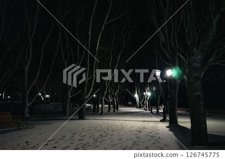 winter nightscape winter nightscape 126745775