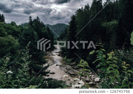 A river meanders through the valley, surrounded by dense green forest. A river meanders through the valley, surrounded by dense green forest. 126745798