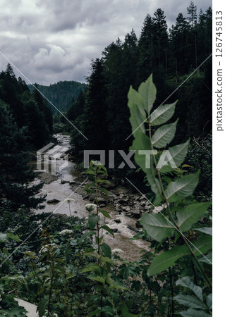 A river meanders through the valley, surrounded by dense green forest. A river meanders through the valley, surrounded by dense green forest. 126745813