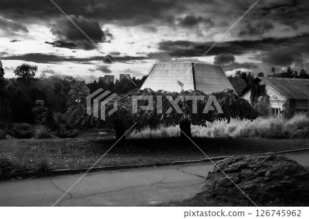 black and white landscape in the park black and white landscape in the park 126745962