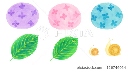 繡球花、樹葉和蝸牛的水彩插圖 繡球花、樹葉和蝸牛的水彩插圖 126746034