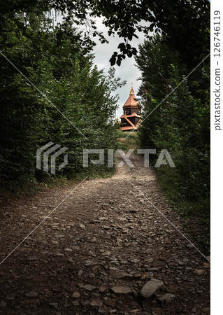 A narrow, rocky path winds through dense green trees. 126746119