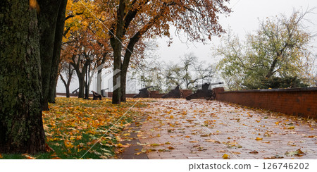 Golden Autumn in the city park. Yellow leaves on the park's avenue. 126746202