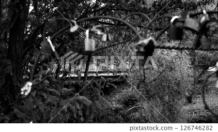bridge countryside black and white 126746282