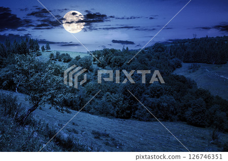 tranquil countryside landscape with forest on the hill in summer at night. scenic outdoor adventure in full moon light tranquil countryside landscape with forest on the hill in summer at night. scenic outdoor adventure in full moon light 126746351