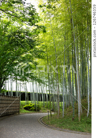 日本花園-4 日本花園-4 126746359