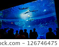 Aquarium: Beautiful large tank 126746475