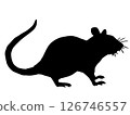 一隻老鼠 126746557