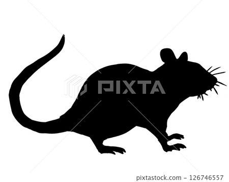 一隻老鼠 126746557