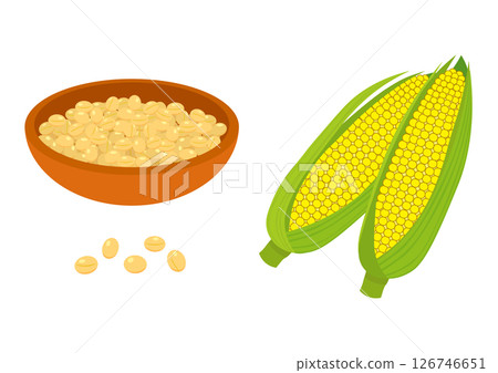 Soybeans and corn 126746651