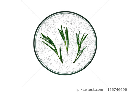 Petri dish with rosemary serum on a white background. Petri dish with rosemary serum on a white background. 126746696