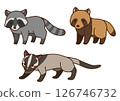 Vermin illustration set (raccoon, raccoon dog, palm civet) 126746732