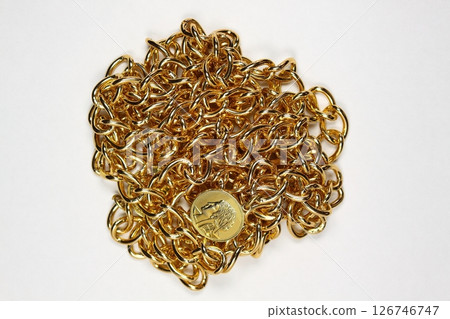 鍍金剝皮鏈條首飾 126746747