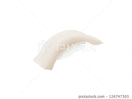 壽司魷魚 126747303