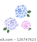 可愛的繡球花圖 126747623