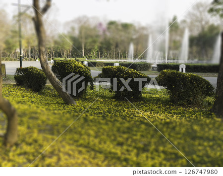 Outdoor garden with blooming flowers in the summer Outdoor garden with blooming flowers in the summer 126747980