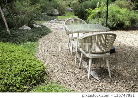 Summer garden with blooming flowers Summer garden with blooming flowers 126747981