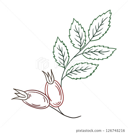 Illustration in hand draw style. Icon, sign, sticker, pin, logo Illustration in hand draw style. Icon, sign, sticker, pin, logo 126748216